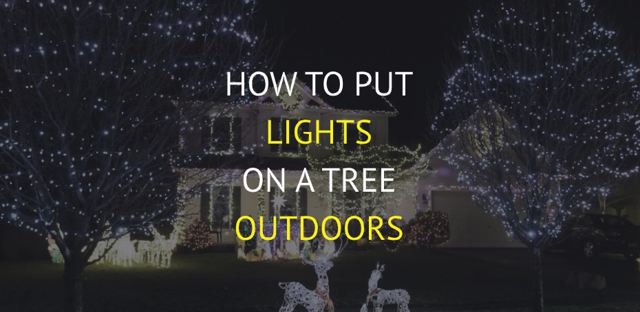 How To Put Lights On A Tree Outdoors, How To Put Light On Outdoor Trees